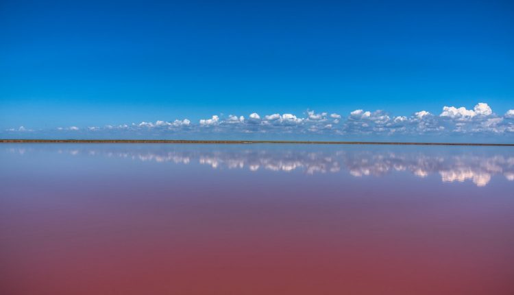 البحيرات الوردية التي تتشكل بسبب الطحالب الحمراء عند ارابات في بحر آزوف