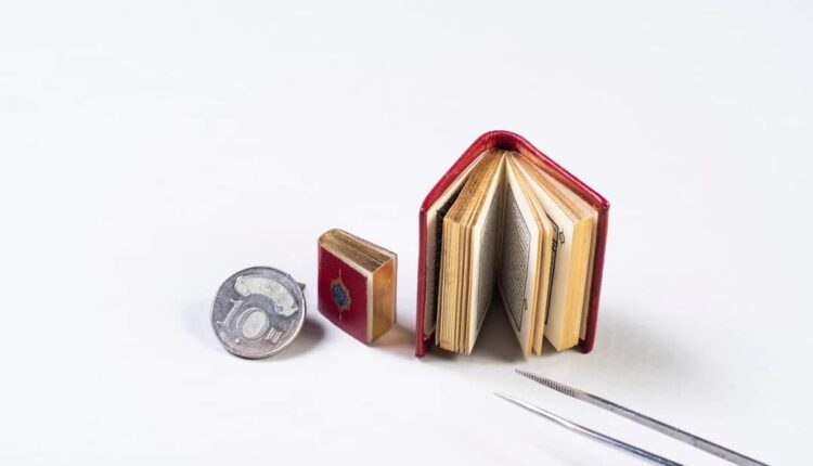 480593257_1342406360509363_2738650472658392394_n