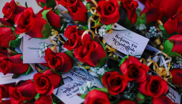 539497291_18281148106286646_8831087009801065163_n