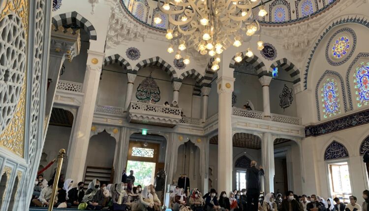 476960902_1334684924614840_1257367052990970919_n