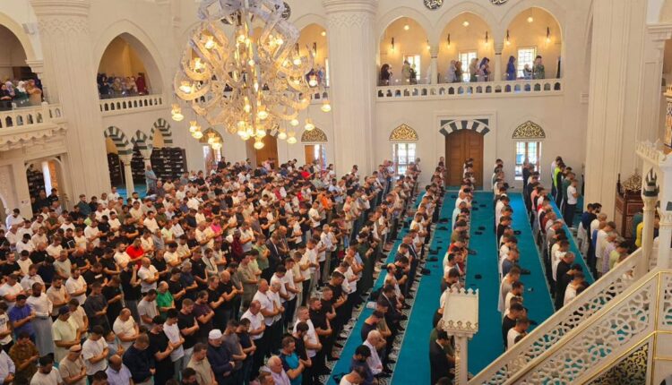 541516857_985387410379880_7653941224528373110_n