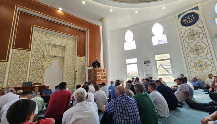 543348058_985387633713191_6284698881569083783_n