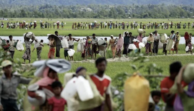 555894772_122167601666472190_5286291566748397509_n