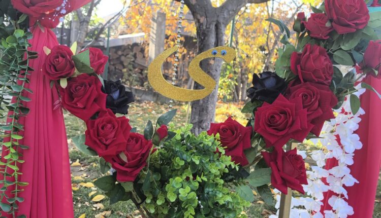 574109668_122141201102906945_7861469908994743227_n