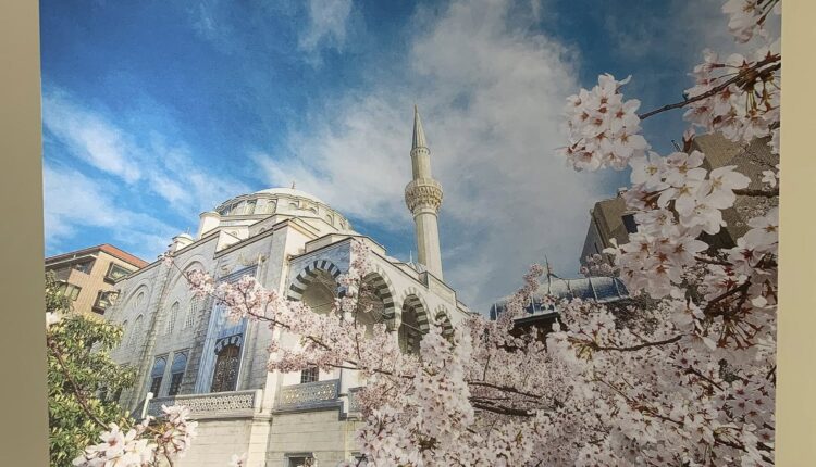 578286962_10238413520452167_3613675375039272498_n