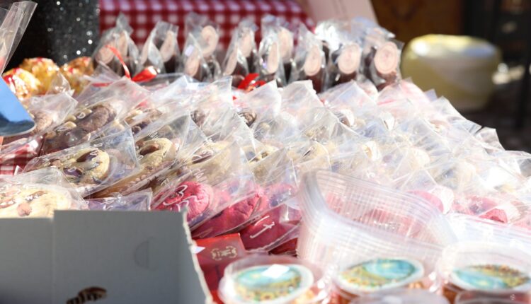 589950997_4384831328430047_348424724204343174_n